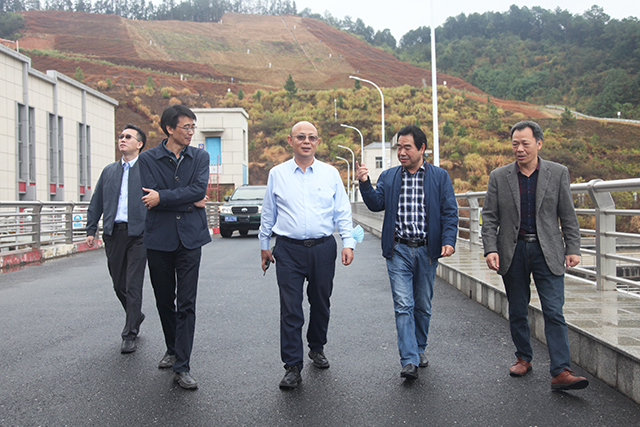 广西大藤峡水利枢纽温鹏副总经理一行调研峡江水利枢纽工程